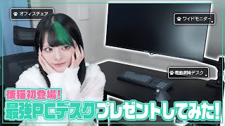 【初登場】彼猫に最強PCデスク環境一式プレゼントしてみた！【電動昇降デスク】