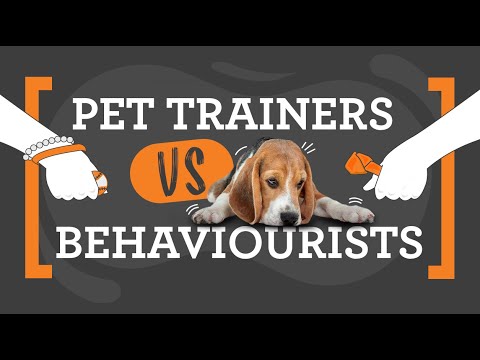 Dog Trainers VS Behaviourists: What's the Difference? Dr Cath Watson Explains