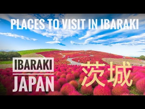 Ibaraki Prefecture, Japan: Explore the Enchanting Beauty of Ibaraki Prefecture