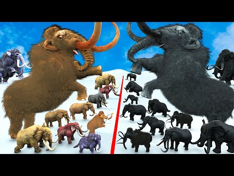 Prehistoric Mammals VS Shadow Itself Mammals Size Animal Epic Battle Woolly Mammoth vs Shadow Mammot