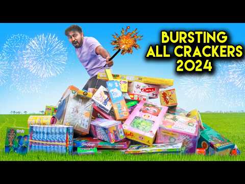 Testing New Diwali Crackers 2024 | Crackers Testing 2024 | Diwali Fireworks Testing | Mad Brothers