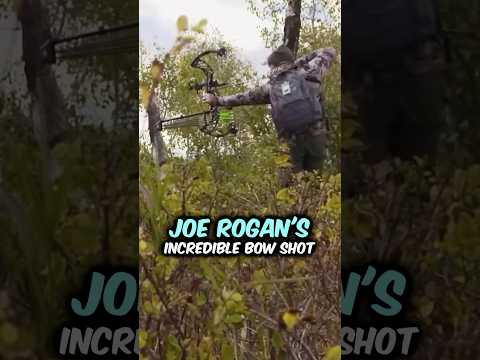 Joe Rogan Tells A Crazy Elk Hunting Story #shorts #joerogan #hunting