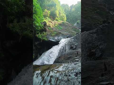 Vibhuthi Falls 🍃#vibhuthifalls #vibhoothi #gokarna #explorepage #travel #waterfall #budgettravel #yt