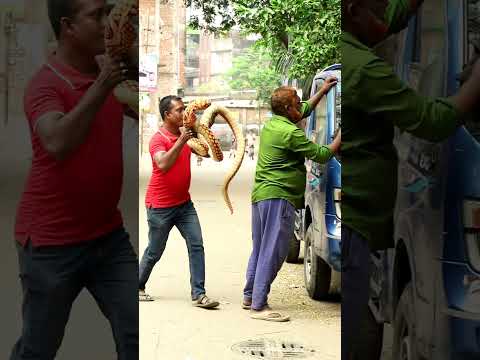 Best King Cobra VS Man Prank! | Sagor Bhuyan