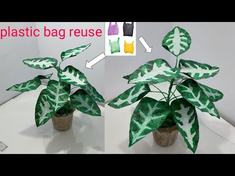 how to make three colors Aglaonema plants from plastic bag flowercraft ideas