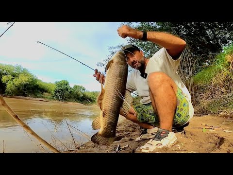 VIDEOS de PESCA, como pescar con cañas de pesca. lo mejor de pesca urbana 2024