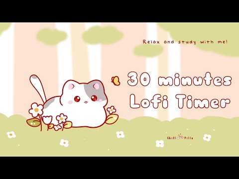 30 minutes - Relax & study with me Lofi | Cat in a field #timer #30minutetimer  #30min  #lofi #calm