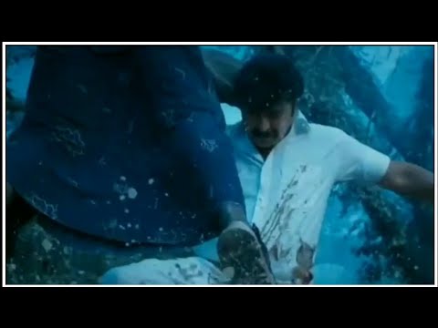 മമ്മൂക്ക MaduhraRaja Malayalam movie  WhatsApp status