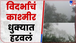 Chikhaldara Hill Station : विदर्भाचं नंदनवन चिखलदरा हरवलं धुक्यात!