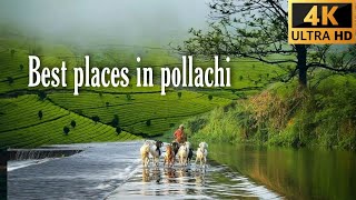 Pollachi near best place to visit with budget |waterfalls | dam | view point | yengadapora