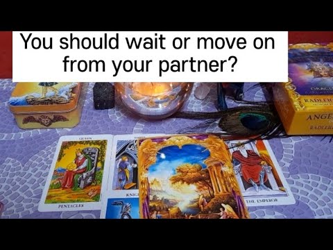 You should wait for or move from your toxic relationship/ partner? #timelessreading #lovetarot