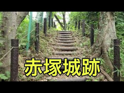 【城の絶景】赤塚城跡（東京都）「大きな竪堀がある程度」