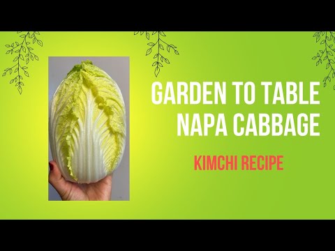 Garden To Table. How to make Kimchi