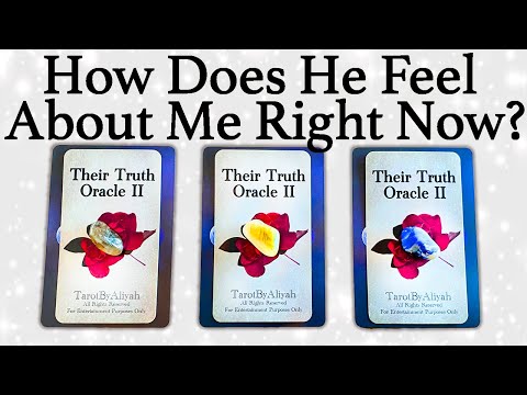 💕WHAT DOES HE/SHE THINK AND FEEL ABOUT ME RIGHT NOW?💕| 🔮Pick A Card🔮 | Love Tarot Reading (Timeless)