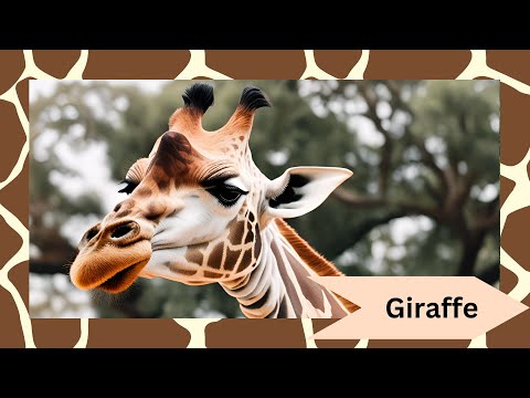 🦒 Discover the Majestic Giraffe: Nature’s Towering Wonder! 🌟