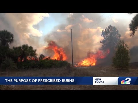 What's the purpose of prescribed burns?