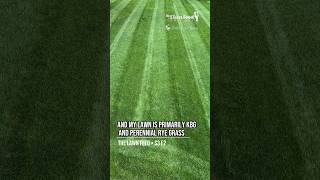 Turf Type Tall Fescue has evolved! #lawncare #howto #diy #grass #lawnstripes #podcast #lawn