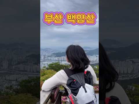 부산 백양산 신행도 핫앤쿡과 함께 ~~~ #등산음식 #핫앤쿡 #부산등산