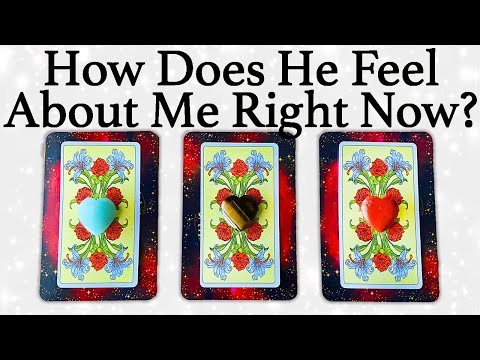 💕WHAT DOES HE/SHE THINK AND FEEL ABOUT ME RIGHT NOW?💕| 🔮Pick A Card🔮 | Love Tarot Reading (Timeless)