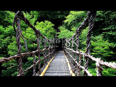 [Japan's Three Great Unexplored Sights] Visit Kazura Bridge in Iya - Tokushima,JAPAN in 8K