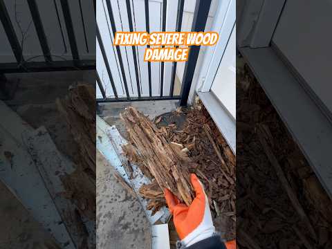 Well Now that’s a PROBLEM #diy #construction #wood #damage #repair #howto #stepbystep #bluecollar