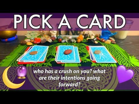 who has a crush on you? what are their intentions going forward? 🌸🔮 PICK A CARD tarot reading