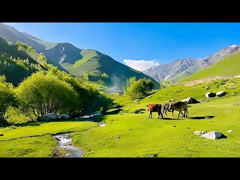 تصاویر زیبا افغانستان