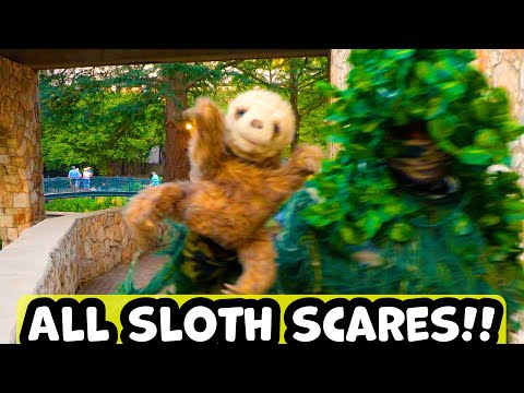 Bushman Prank: Baby Sloth stole the Show!!