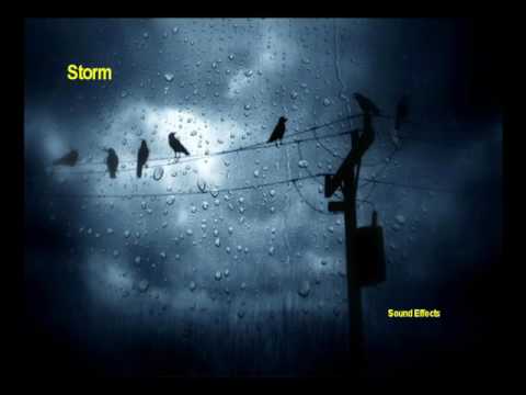 Storm / Sound Effects