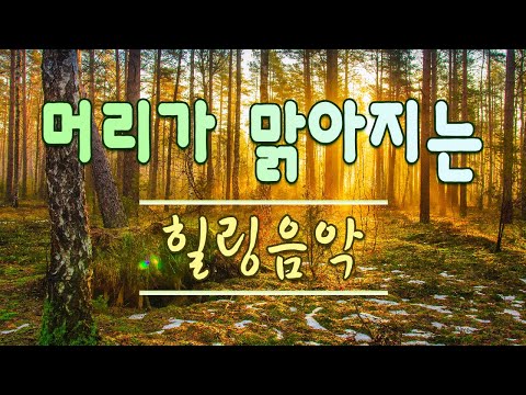 행운을 끌어오는 신비한 명상음악 🎵 하루10분 만병을 치료 해주는 힐링 명상 기치료 음악 및 영상, 힐링음악, 요가음악, 명상음악