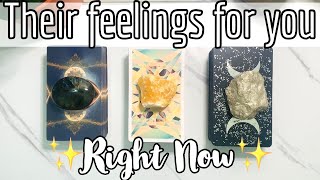 ❤️‍🔥Their Thoughts and Feelings for you Right Now❤️‍🔥🔮pick a card love reading💝