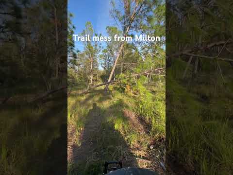 Milton trail mess#offroad #hurricanemilton #trails #dirtbike