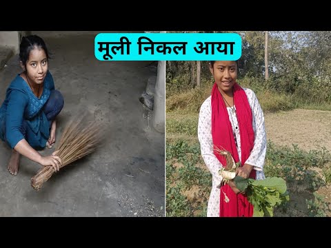 घर का सारा काम करने के बाद खेत में भी जाना पड़ा || Village Lifestyle || Kajal New Vlogs Video