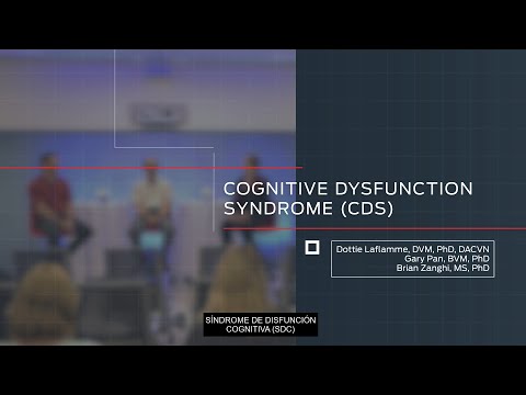 Síndrome de disfunción cognitiva (SDC)