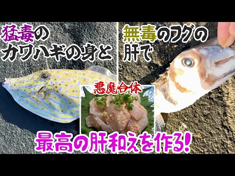 猛毒のカワハギの身と無毒のフグの肝を悪魔合体して最高の肝和え作る！