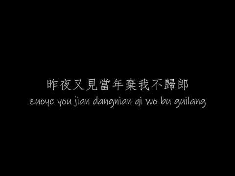 花僮 - 離人愁 【原唱：李袁杰 】中文歌词 / Pinyin Lyrics