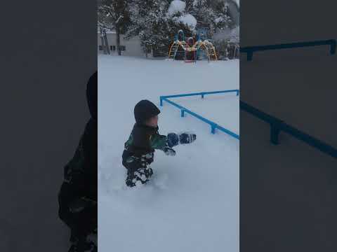 大雪の豊平どんぐり村パウダーパフパフ　大雪の中を4歳児が這いながら雪をかき分けかき分けやって来たぶらんこ乗り場　20250110