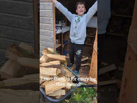 Homesteading! Splitting logs for the season