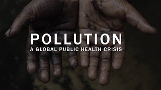 Pollution: a global public health crisis