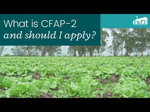 What's CFAP-2 and should I apply: Part 1 of 4