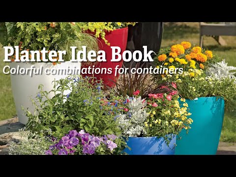 Planter Idea Book