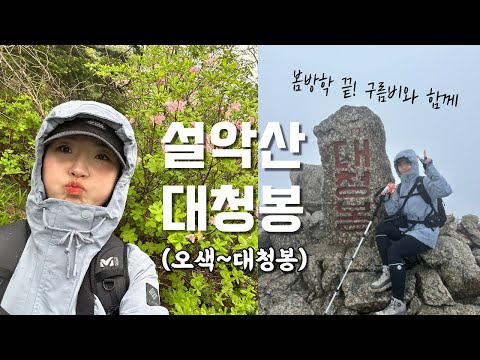 숨니vlog. 설악산 봄방학 끝! 구름비와 함께한 설악..🩵 등산 | 브이로그 | 등린이 | 혼산 | 대청봉 | 국립공원 | 힐링 | 여름산행 | 하이킹 | 트레킹 | hiking