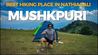 Mushkpuri Top | Best place in Nathiagali | Dunga Gali To Mushkpuri Trekking