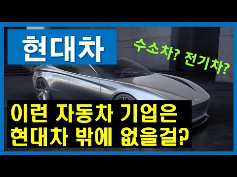 [기업분석] 현대차 / 이런 자동차 기업은 현대차 뿐일걸? ,미래를 준비하는 현대차 기업분석 / Hyundai motor