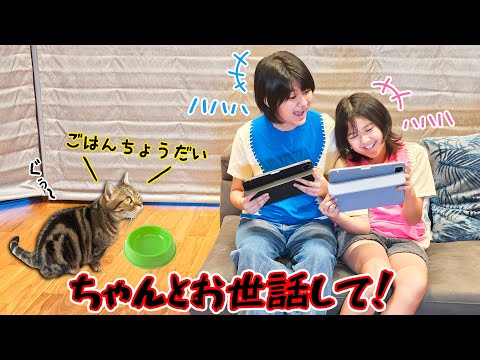 ちゃんと猫のお世話して！！こんな時どうする？？himawari-CH