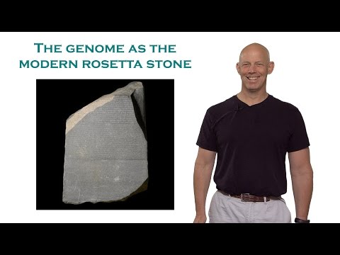 Rob Phillips (Caltech): The Genome as the Modern Rosetta Stone