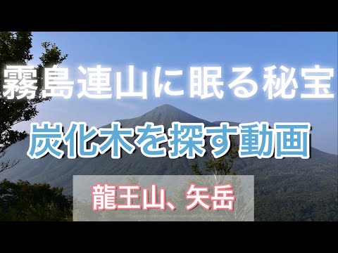 霧島連山に眠る秘宝「炭化木」を探す動画