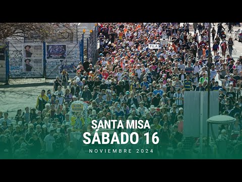 Santa Misa en vivo - Miercoles 06/11 Catedral Cristo Rey