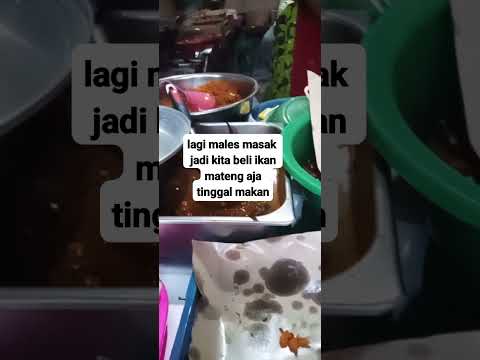 Selamat makan siang