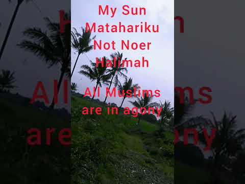 My Sun-Matahariku-Not Noer Halimah-Pembebasan Palestina ( part 2 )